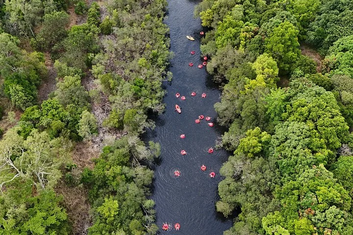 Aerial view of people floating on red tubes down a forest river.